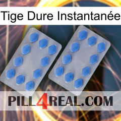 Tige Dure Instantanée 20